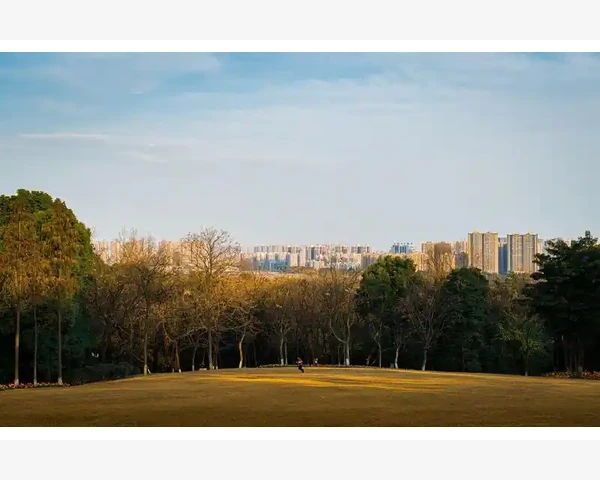 脾胃湿热重如何祛除？