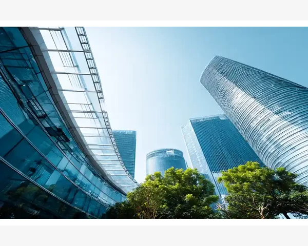 中医经典之陈皮十竹茹，痰火可化散，俾身清逸醒目